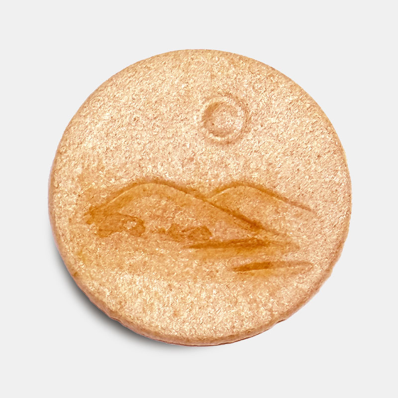 型物